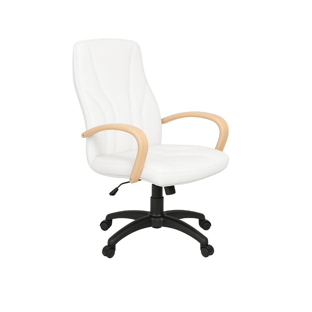 Scaun birou piele ALBA | model BETA P