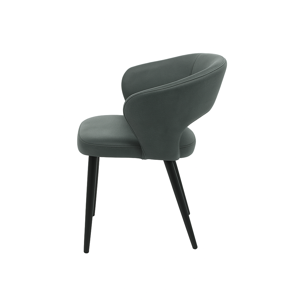 Scaun piele ALBA | model CASIUS